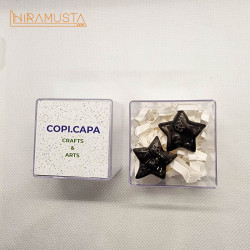 Kuru Kafalı Çift Yıldız Broş