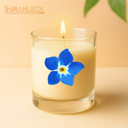 Cam Bardak Mum – Unutma Beni Çiçeği Motifli (280 cc) Sertifikalı Soya Wax & Esanslı El Yapımı