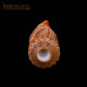 Sigara Ağızlığı AGM-625 Sigara Ağızlığı AGM-625