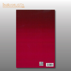 Haçlı Seferleri Cilt 2: Ortaya Çıkan Siyasi ve Sosyal Olaylar